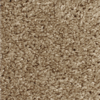 Phenix Carpets Paragon MO Daydream PHENIX