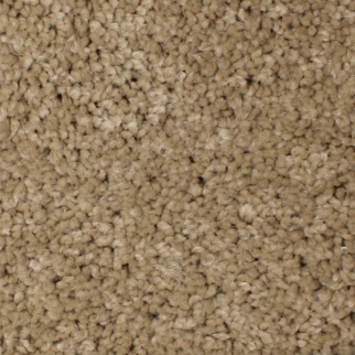 Phenix Carpets Daybreak MO Energy PHENIX