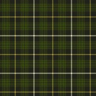 Joy Carpet Bit O Scotch ES Scotch Pine