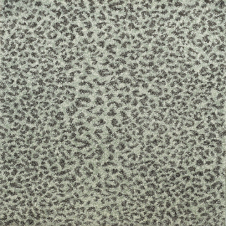 Kane Carpet Ceremony Etosha KANE