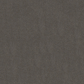 Shaw Floors Canyon Lake Great Falls SHAW