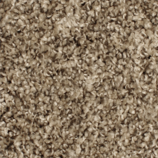 Phenix Carpets Paragon MO Sealskin PHENIX