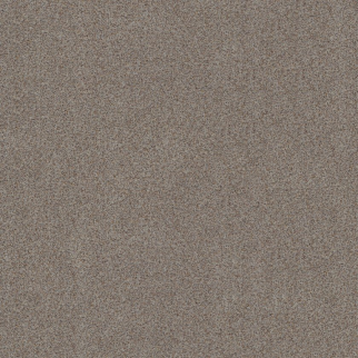 Shaw Floors Canyon Lake Distant Star SHAW