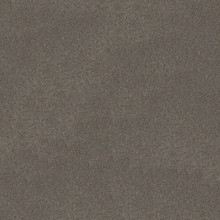 Shaw Floors Canyon Lake Slate SHAW