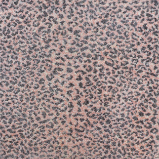 Kane Carpet Ceremony Amazon KANE