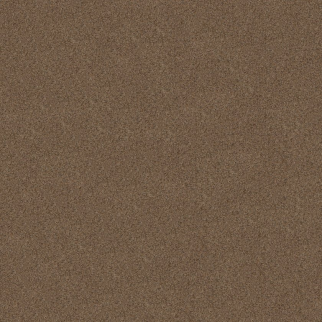 Shaw Floors Canyon Lake Stone Age SHAW