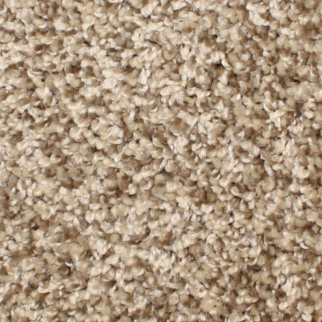 Phenix Carpets Touchstone MO Courtyard PHENIX