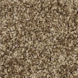 Phenix Carpets Paragon MO Roasted Garlic PHENIX