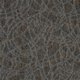 Kraus Commercial Royal Seattle Sunset KRAUS