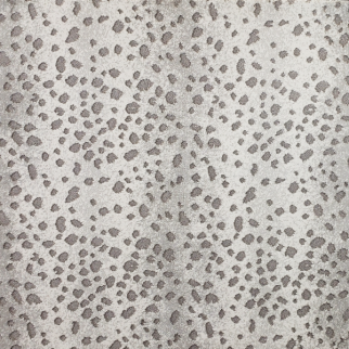 Kane Carpet Out In The Wild Wild Cat KANE