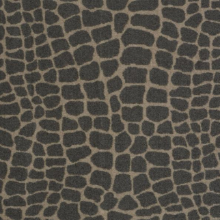 Philadelphia Commercial River Croc Lounge Around Shaw