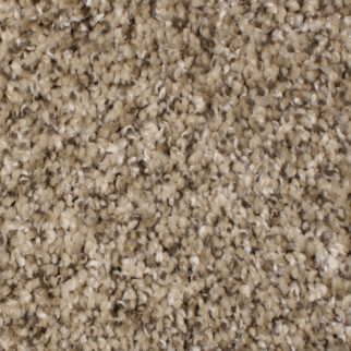 Phenix Carpets Daybreak MO Magnitude PHENIX