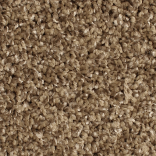 Phenix Carpets Paradox Shenandoah PHENIX