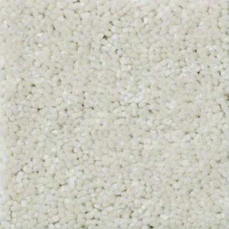 Shaw Floors QS407 7101 SHAW