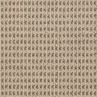 Philadelphia Commercial Modern Traditions Camel Shaw