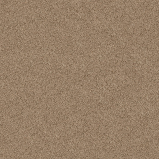 Shaw Floors Canyon Lake Basic Tan SHAW