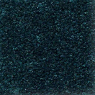 Shaw Floors QS407 7301 SHAW