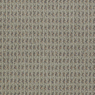 Philadelphia Commercial Modern Traditions Spring Shaw