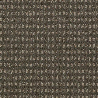 Philadelphia Commercial Modern Traditions Marsh Shaw