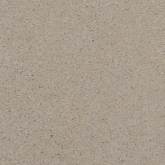 Dixie Home Spellbinding Sand Dollar