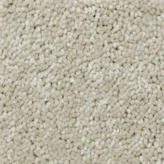 Shaw Floors QS407 7700 SHAW