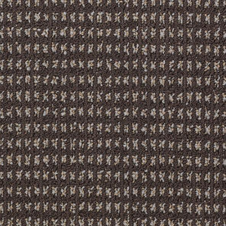 Philadelphia Commercial Modern Traditions Bark Shaw