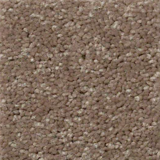 Shaw Floors QS407 7791 SHAW