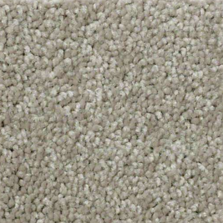 Shaw Floors QS407 7792 SHAW