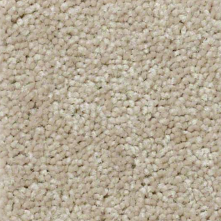 Shaw Floors QS407 7793 SHAW