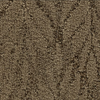 Godfrey Hirst Carpets Dramatic Features Pinewood GODFREY HIRST