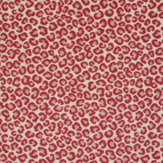 Philadelphia Commercial Cheetah Hang Loose Shaw