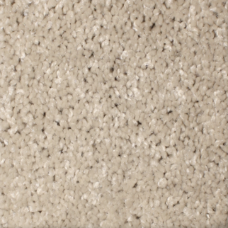 Phenix Carpets First Light MO Age PHENIX