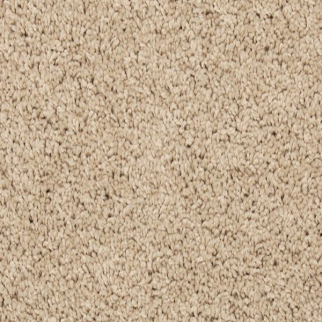 Mohawk Carpet Renovate I 12 Rice Cake Mohawk