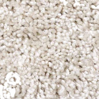 Shaw Floors One Over All Canvas SHAW