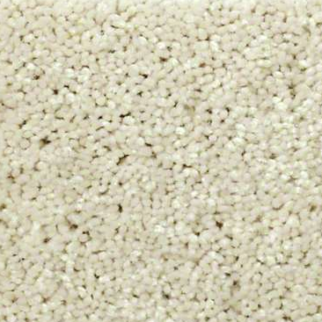 Shaw Floors Well Played I 15 Fresco SHAW