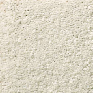 Shaw Floors Solidify III 12 Minimalist SHAW