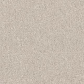 Shaw Floors Easy Spirit I 12 Minimalist SHAW