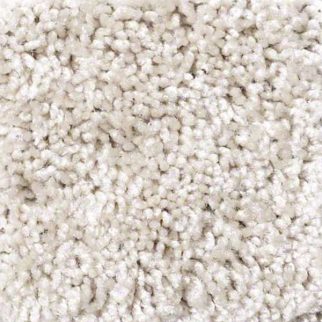 Shaw Floors Dreamin 12' Sailcloth SHAW