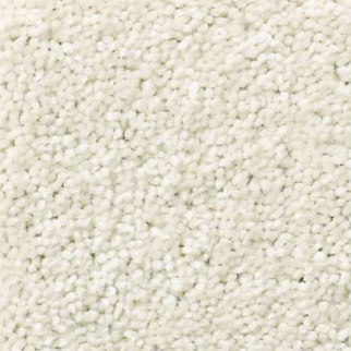 Shaw Floors Attainable Blizzard SHAW