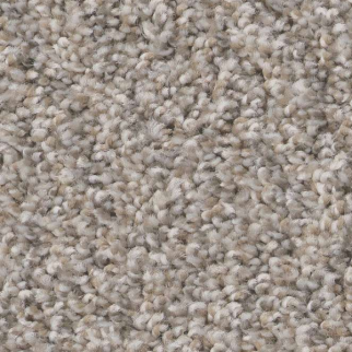 Shaw Floors Always Right II Sea Salt SHAW