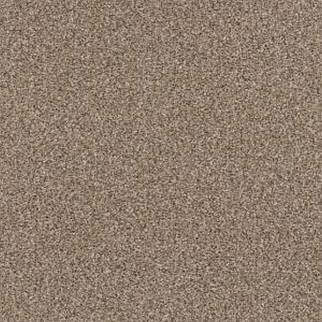 Shaw Floors Yes You Can I 12' Sea Shell SHAW