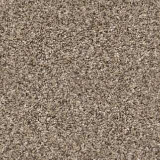 Shaw Floors Yes You Can II 12' Sea Shell SHAW