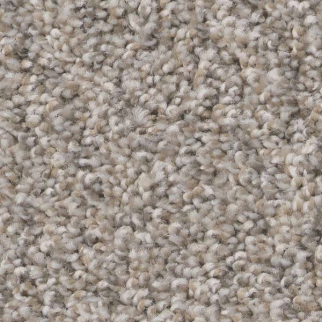 Shaw Floors Always Right I Sea Salt SHAW