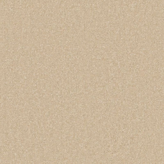 Shaw Floors Awaken Spirit I 12' Sunlight SHAW