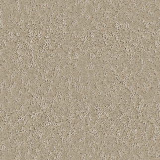 Shaw Floors Clever Choice Twine SHAW