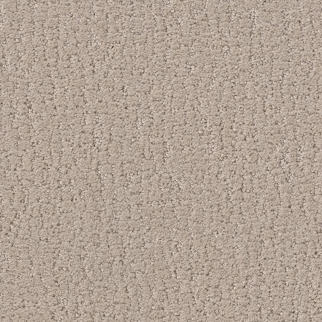 Shaw Floors Studio Set Twine SHAW