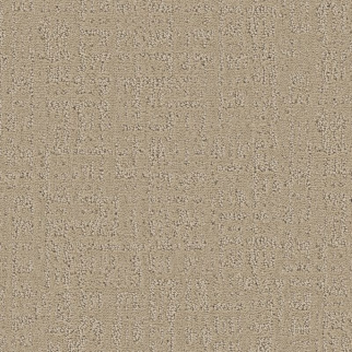 Shaw Floors Studio Plaza Twine SHAW