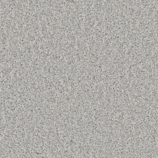 Shaw Floors Affirmation II White Metal SHAW