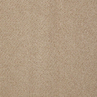 Philadelphia Commercial Primus Eminent Shaw