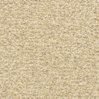 Dixie Home Color Festival Moonlight